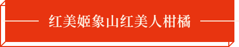 濟(jì)寧明輝電器有限公司